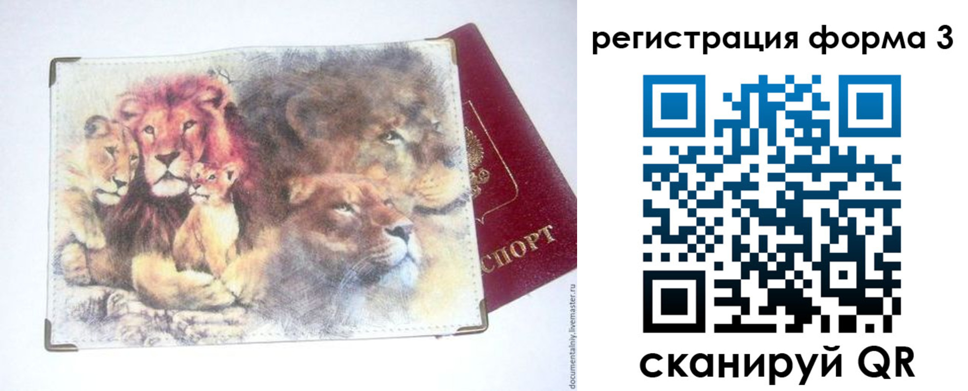 прописка в квартире в Владимирской области